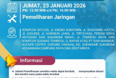 Info Pemeliharaan Listrik PLN UP3 Tanjung Karang- ULP Wayhalim Hari Ini, Cek Wilayahnya Disini 