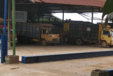 Tekanan Pasar Kian Berat, Pabrik Tapioka di Way Kanan Bertahan di Tengah Harga Anjlok