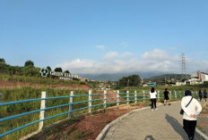 Prakiraan Cuaca Lampung 7 Agustus 2026, Dominan Cerah Berawan