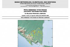 Waspada Karhutla, BMKG Lampung Deteksi 98 Titik Panas, Way Kanan Terbanyak di Tengah Suhu Terik 36°C