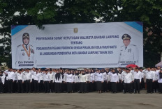 Ribuan PPPK Paruh Waktu Resmi Terima SK, Pemkot Bandar Lampung Tegaskan Kepastian Status