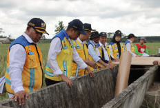 Kementerian PU Targetkan Irigasi Rawajitu Kembali Berfungsi Dua Pekan