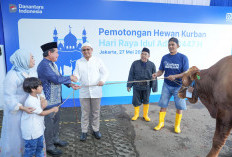 Semangat Berbagi di Idul Adha, BRI Group Distribusikan lebih dari 5000 Hewan Kurban ke Berbagai Daerah