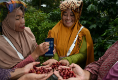 Komitmen Dukung Ketahanan Pangan Nasional, BRI Salurkan KUR Rp65,95 Triliun hingga April 2026