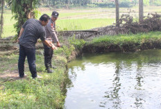 Bocah 8 Tahun di Adiluwih Pringsewu Ditemukan Meninggal di Kolam Ikan, Polisi: Tidak Ada Tanda Kekerasan