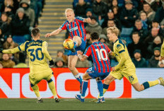 Link Live Streaming Crystal Palace vs Fulham: The Eagles Lagi Seret, Cottagers Datang Bawa Modal Kemenangan