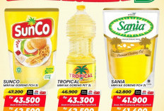 Banjir Diskon Minyak Goreng Tanpa Syarat di Alfamart, Ini Rincian Harganya