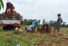 Warga Masih Laporkan Pelanggaran HAP, Pemprov Sebut Telah Berikan SP