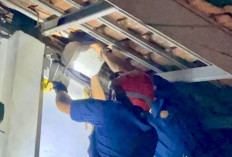 Sarang Tawon hingga Tali Bendera Tersangkut Masuk Daftar 92 Evakuasi Damkarmat Januari 2026