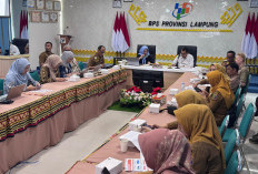 Ekonomi Lampung Tumbuh 5,58 Persen di Awal 2026, Lampaui Rata-rata Ekonomi Sumatera