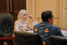 Ratusan Peluang Kerja Jepang, Wagub Lampung Minta Program Dikebut