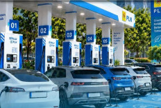 Menjelajah Tol Lampung Lewat Ekosistem Energi Bersih PLN