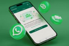 WhatsApp Plus di iPhone Resmi Muncul, Ini Detail Harga Langganan dan Fitur Modern