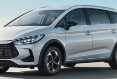 BYD M6 DM Resmi Meluncur, MPV PHEV Rp 298 Jutaan dengan Konsumsi BBM 65 Km/L