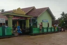 Pringsewu Dikepung Banjir, Jalur Lintas Barat Terendam Hingga Evakuasi Balita