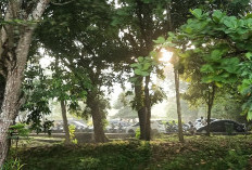 Peringatan Dini BMKG Lampung 13 April 2026, Waspada Hujan Lebat dan Angin Kencang di Wilayah Ini