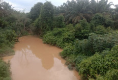 Perusahaan Sawit Diduga Langgar Aturan Sempadan Sungai, Warga Minta Pemkab dan DPRD Turun ke Lapangan