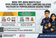Beda TMT, Beda Waktu Gaji PPPK Paruh Waktu, BKD Lampung Selatan Pastikan SK Perpanjangan Segera Terbit