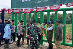 Barrier TNWK Mulai Dikerjakan, Harapan Baru Tekan Konflik Manusia-Gajah