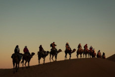 Dalil Hadis Musafir Punya Kendaraan Tetap Wajib Puasa? UAH Jelaskan Statusnya