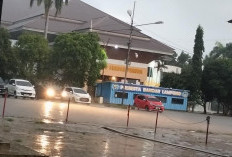 Prakiraan Cuaca Lampung 12 Agustus 2026: Dominan Cerah, Hujan Ringan di Wilayah Ini