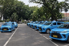 Resep Kebangkitan Bluebird Memimpin Layanan Mobilitas Digital Indonesia
