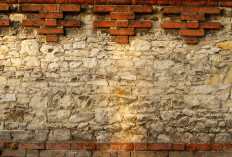 Cara Ampuh Mengatasi Tembok Lembab dan Berjamur, Rumah Jadi Lebih Sehat dan Tahan Lama