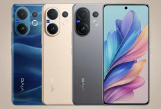 Vivo V70 Series Bocor, Hadirkan Varian Elite dan Jadwal Rilis Januari 2026