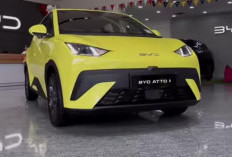 Cek Estimasi Harga OTR Lampung Mobil Listrik BYD Atto 1 Per September 2026, Varian dan Simulasi Kreditnya