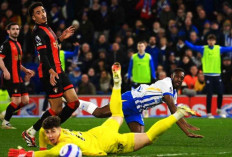 Prediksi Skor Brighton vs Bournemouth: The Seagulls Andalkan Kandang, The Cherries Dihantam Krisis Pemain