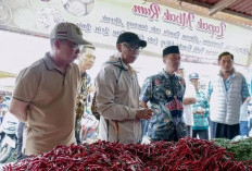 Pemprov Lampung Perketat Pengawasan Pasar, Harga Bapok Diklaim Terkendali