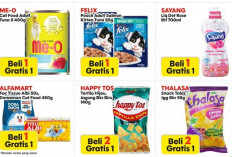 Hanya 1 Hari, Promo 12.12 Double Date Alfamart: Ada Camilan Anabul Juga! 