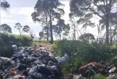 Viral! Gunungan Sampah Cemari Indahnya Kebun Teh Pangalengan, Warga Geram