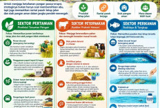 Abu Vulkanik Mengintai, Petani Metro Diminta Percepat Panen