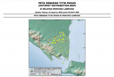 BMKG Lampung Deteksi 172 Titik Panas Tersebar di 11 Daerah, Mesuji dan Tulang Bawang Terbanyak 