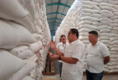 Stok Beras BULOG Lampung Capai 301 Ribu Ton, Siap Topang Bantuan Pangan