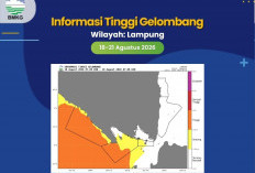 BMKG Maritim Rilis Peringatan Dini Tinggi Gelombang di Perairan Lampung hingga 21 Agustus, Wilayah Ini Waspada