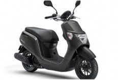 Honda Dunk 2026, Skutik Mini Super Irit 75 Km/L yang Cocok untuk Jalanan Kota