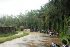 Debit Sungai Way Serupa Meluap, Akses Jalan Antar Kampung di Way Kanan Tergenang