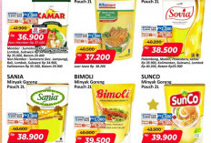 Deretan Promo JSM Alfamart 9 - 11 Januari 2026: Minyak Goreng Murah Pouch 2 Liter Mulai Harga Rp36.900