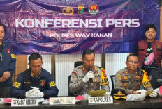 Dipicu Tuduhan Curi Brondolan Sawit, Pria di Way Kanan Ini  Tikam Security PT AKG Hingga Tewas