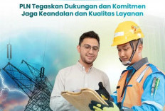 Pemerintah Pastikan Tak Ada Kenaikan Tarif Listrik Pada Triwulan I 2026