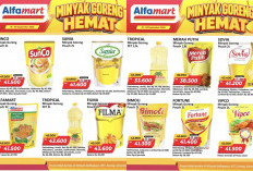 Promo Minyak Goreng Hemat Alfamart 1–6 September 2026: SunCo, Sania, hingga Bimoli Turun Harga