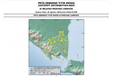BMKG Lampung Deteksi 208 Titik Panas, 9 Masuk Kategori Risiko Tinggi