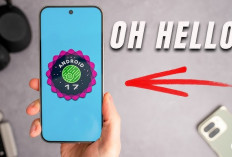 Android 17 'Cinnamon Bun' Segera Hadir, Bocoran Fitur Baru Bikin Multitasking dan Privasi Makin Canggih