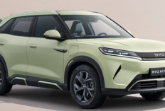 BYD Atto 2 Berpotensi Jadi Pilihan Baru di Segmen SUV Listrik Keluarga