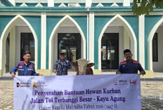 Hutama Karya Salurkan 300 Hewan Kurban untuk Warga di Wilayah Operasional Perusahaan