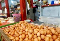 Telur Ayam Langka di Bandar Lampung Usai Lebaran 2026, Harga Terpantau Mulai Melambung