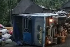 Truk Bantuan Polda Lampung Terguling di Solok, Warganet Kirim Doa untuk Relawan
