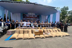 Polda Lampung Gagalkan Penyelundupan 280 Karung Kacang Tanah Asal India